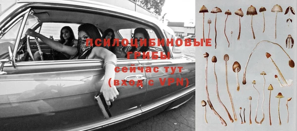 героин Кукмор